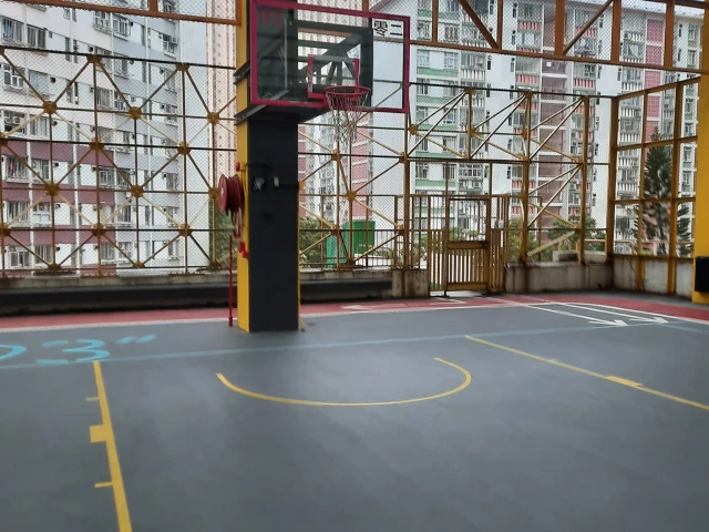 Profile of the basketball court Kai Yip Estate Multi-Storey Car Park, Kowloon Bay, Hong Kong