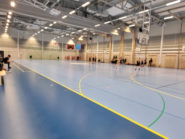 Profile of the basketball court Sigfridsborgs Sporthall, Älta, Sweden