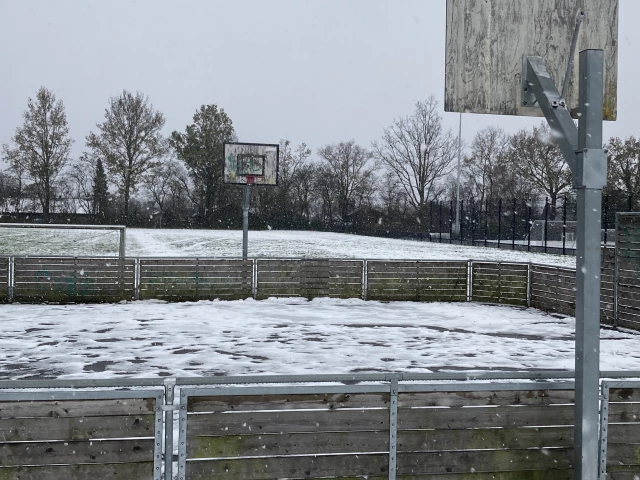 Profile of the basketball court Sportspladsen, Albertslund, Denmark