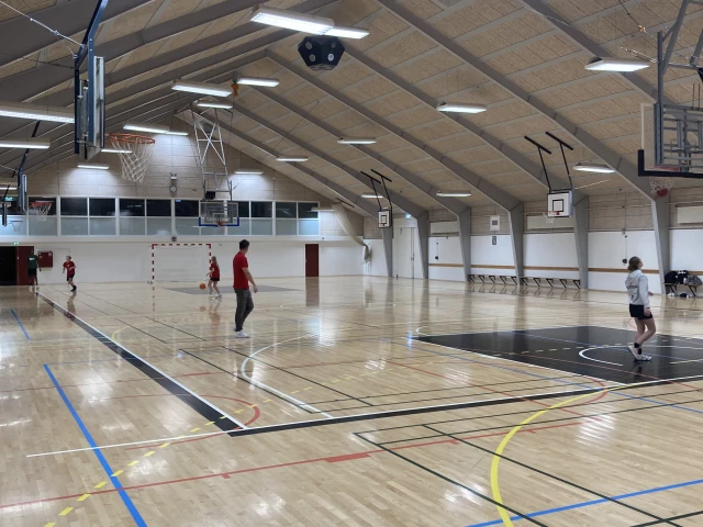 Profile of the basketball court Køgehallerne, Køge, Denmark