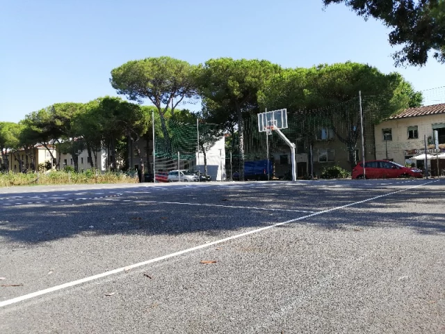 Profile of the basketball court Campino Via Rindi, Pisa, Italy