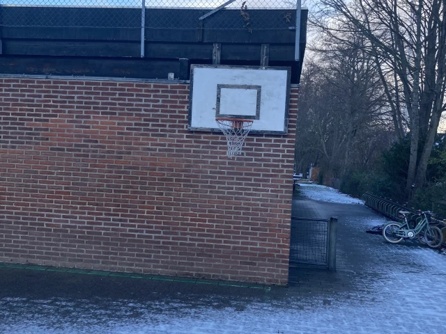 Profile of the basketball court Rygaards single count, Hellerup, Denmark