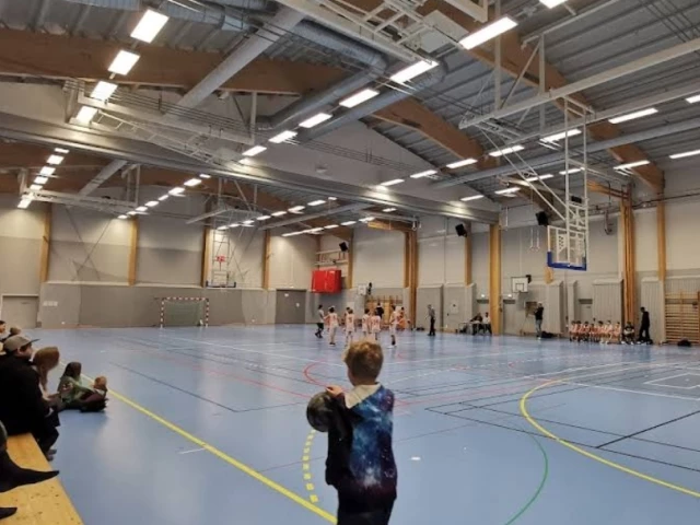 Profile of the basketball court Midgårdshallen, Umeå, Sweden