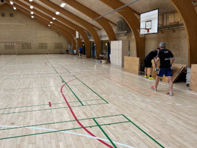 Profile of the basketball court Bellevuehallerne, Risskov, Denmark