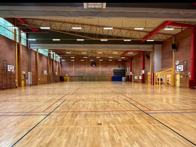 Profile of the basketball court Påarps Sporthall, Påarp, Sweden
