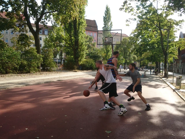 Profile of the basketball court Pappelplatz Streetball Court, Berlin, Germany