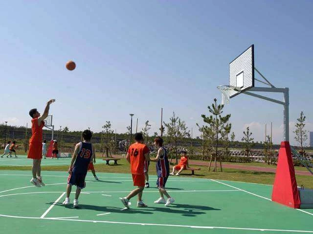 Profile of the basketball court Miyazaki Seaside Park, Miyazaki, Japan