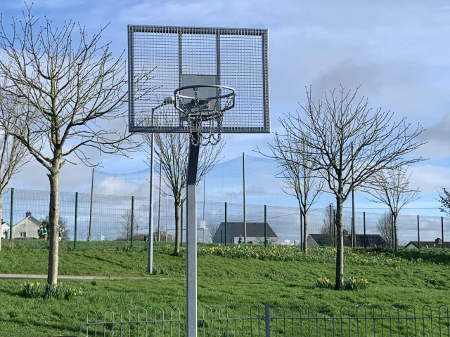 Profile of the basketball court Manor Saint John Basketball Court, Waterford, Ireland
