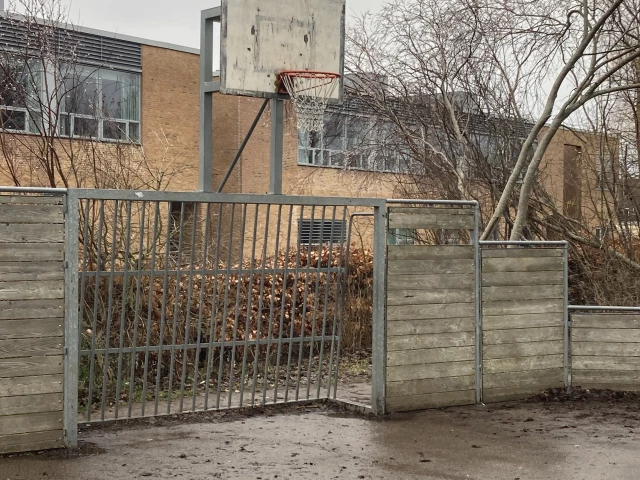 Profile of the basketball court Torstrop skole, Taastrup, Denmark