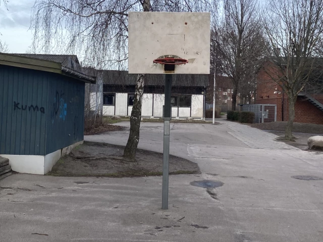 Profile of the basketball court Brøndbyvester skole, Brøndby, Denmark