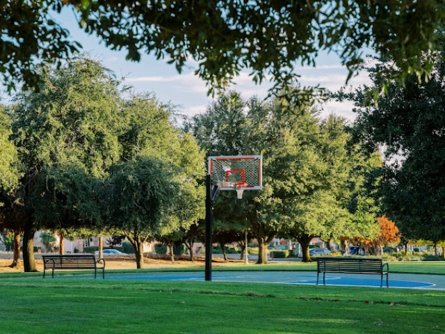 Profile of the basketball court Town Square Hoop, Elk Grove, CA, United States