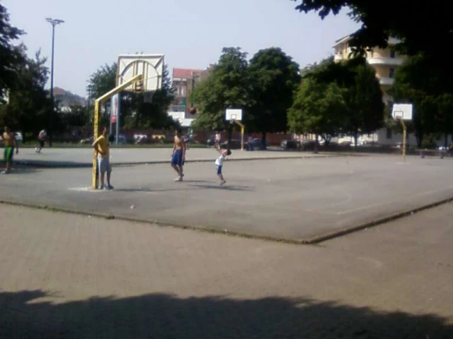view court