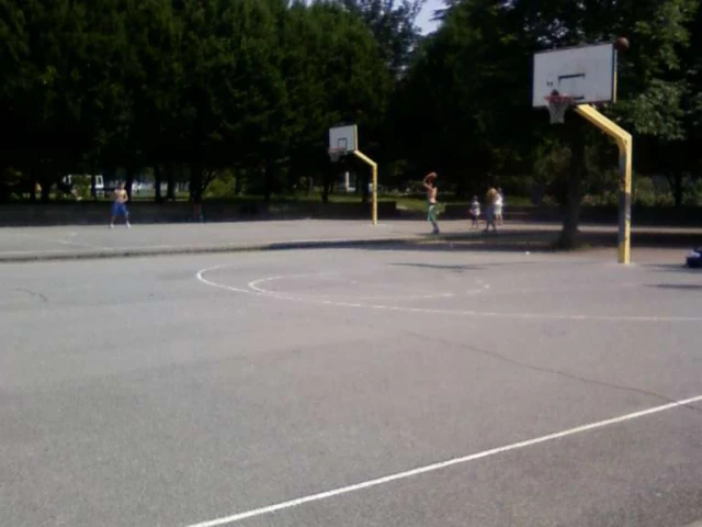 Profile of the basketball court Spa Garden, Turin, Italy