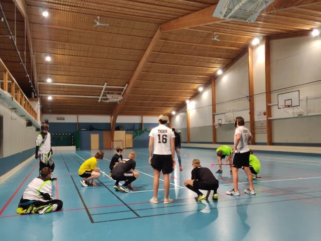 Profile of the basketball court Kroksdalshallen, Skärhamn, Sweden