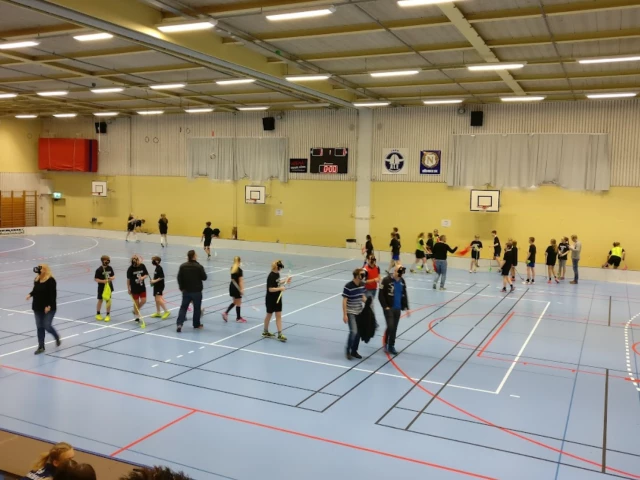 Profile of the basketball court Ale Kulturrum, Nödinge, Sweden