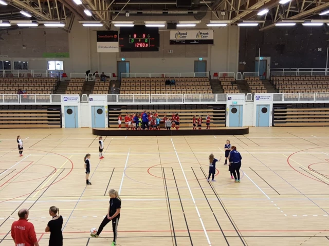 Profile of the basketball court Agnebergshallen, Uddevalla, Sweden