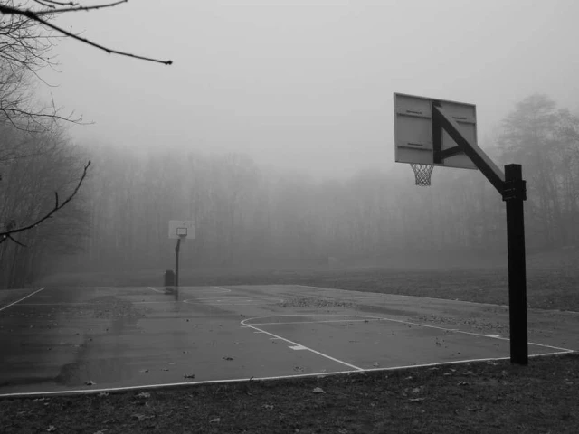 foggy court