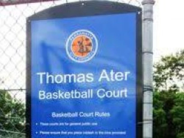 Profile of the basketball court Thomas Ater Basketball Court, Sydney, Australia