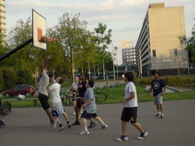 Profile of the basketball court HAN Court, Arnhem, Netherlands