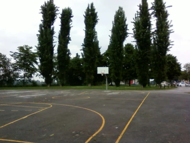 court view
