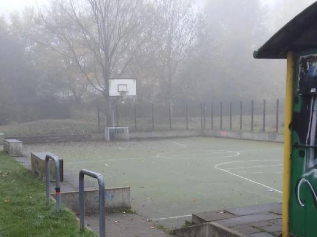 Profile of the basketball court Park Selwerd, Groningen, Netherlands