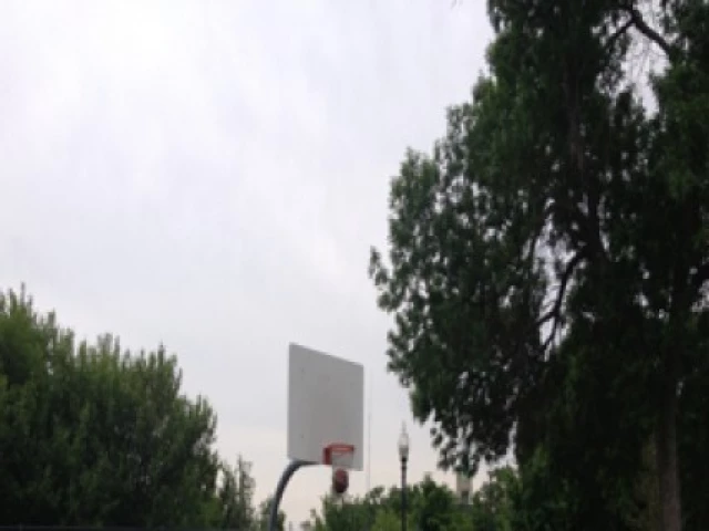 Profile of the basketball court Peavey Field, Minneapolis, MN, United States
