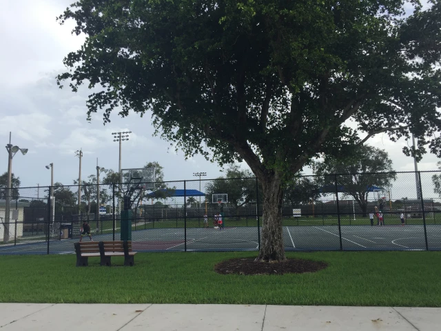 Profile of the basketball court Fleischmann Park, Naples, FL, United States