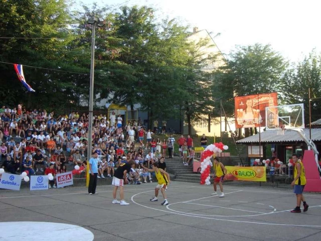 Profile of the basketball court Student, Valjevo, Serbia