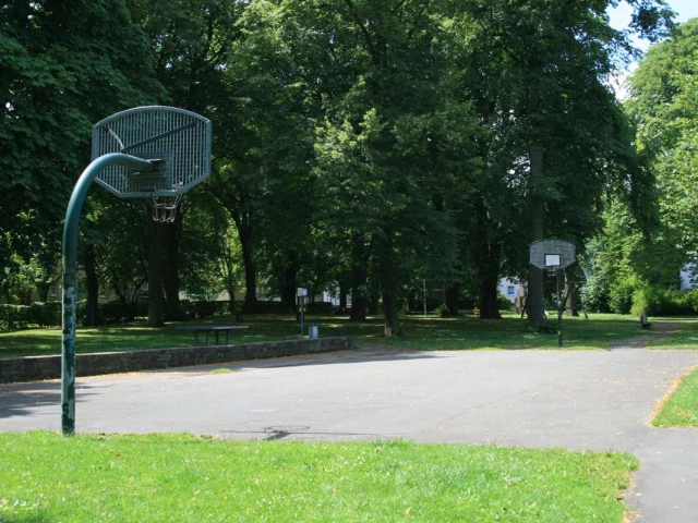 Profile of the basketball court Wilhelmshöher Alee, Kassel, Germany