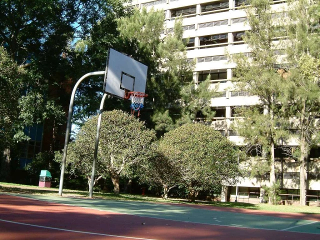 Profile of the basketball court North Sydney TAFE, Sydney, Australia
