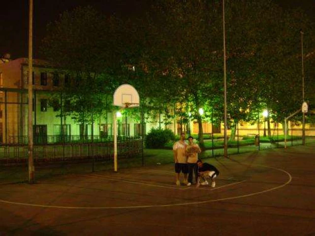 Profile of the basketball court Las Pistas, A Coruña, Spain