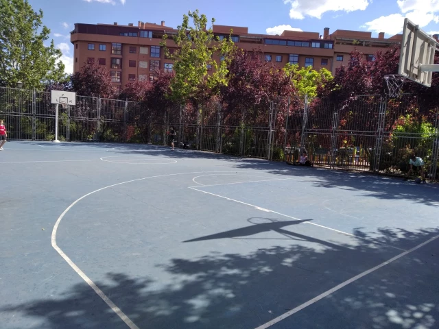 Profile of the basketball court Vallejo Najera, Madrid, Spain