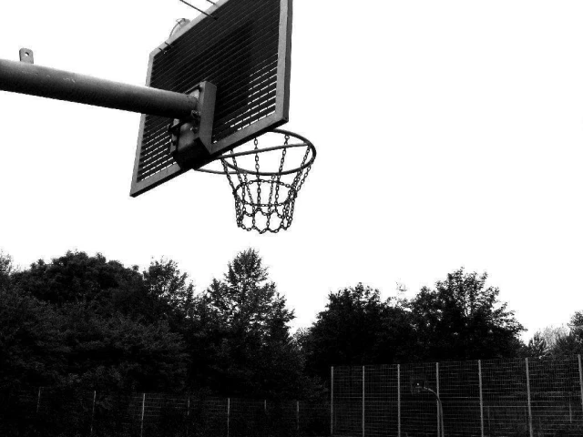 Profile of the basketball court WBG, Castrop-Rauxel, Germany
