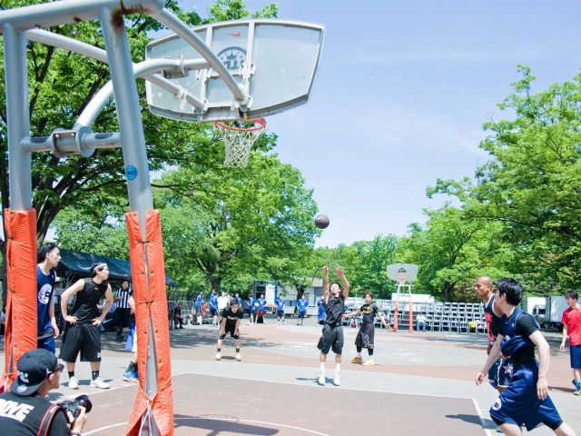 Profile of the basketball court Yoyogi Park, Tokyo, Japan