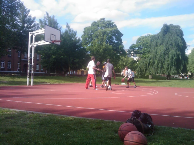 Profile of the basketball court Lohmühlenpark, Hamburg, Germany