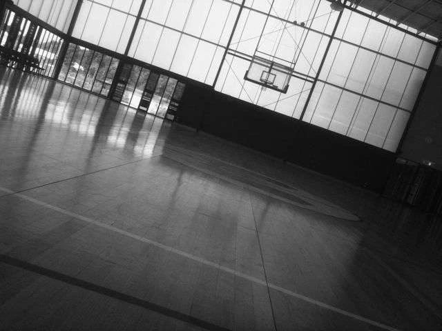 Profile of the basketball court North Melbourne Football Club Indoor and Outdoor, Melbourne, Australia