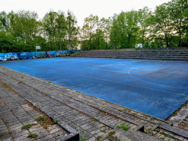 Profile of the basketball court IFL/IFS blauer Platz, Göttingen, Germany