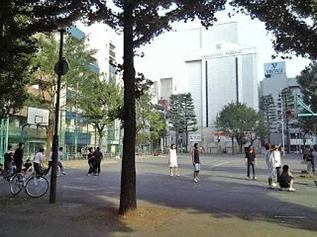 Profile of the basketball court Okubo Park, Tokyo, Japan