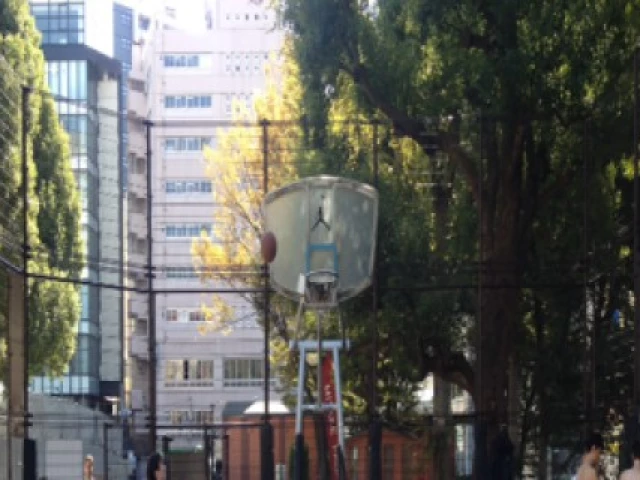 Profile of the basketball court Jordan Court, Tokyo, Japan