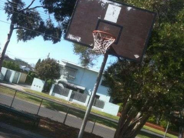 Profile of the basketball court Essendon Primary School Rim, Melbourne, Australia