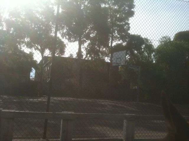Profile of the basketball court Footscray City College, Footscray, Australia