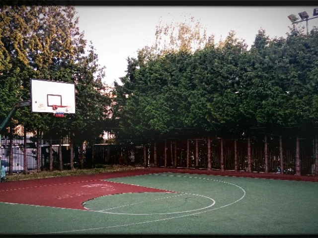 Profile of the basketball court Prazacka Streetball Court, Prague, Czechia