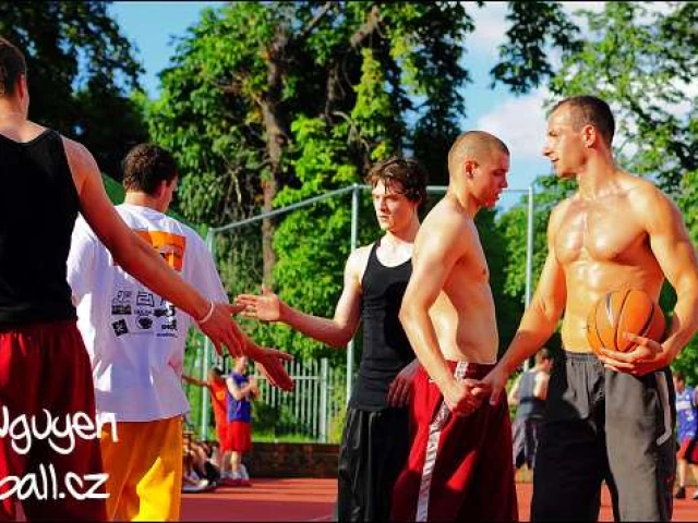 Profile of the basketball court Multi - Playground Streetball, ZŠ Plynárenská, Teplice, Czechia