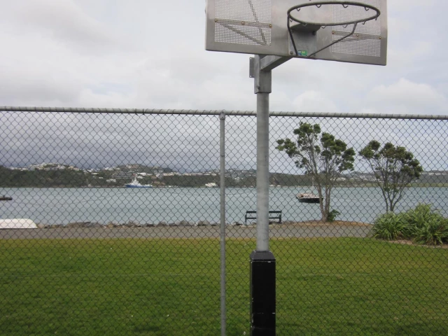 Profile of the basketball court Cog Park, Hataitai, New Zealand