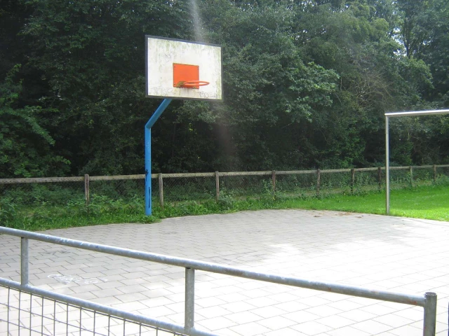 Profile of the basketball court Schie (SB) Court, Zwolle, Netherlands