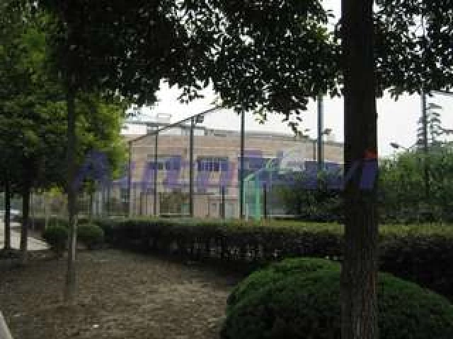 Profile of the basketball court Dahua Qinsen Jianshen Chamber Basketball Court, Shanghai, China