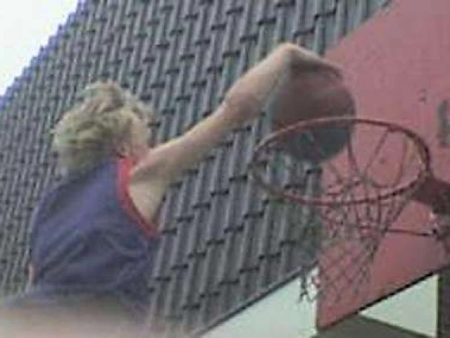 Profile of the basketball court Wijtmen Court, Zwolle, Netherlands