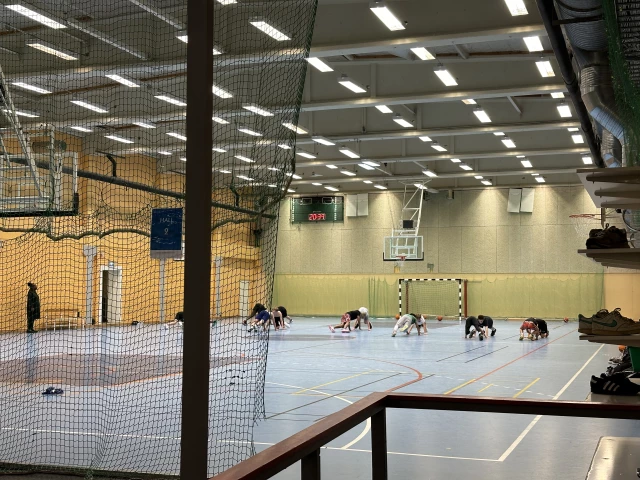 Profile of the basketball court Liljeholmshallarna, Stockholm, Sweden